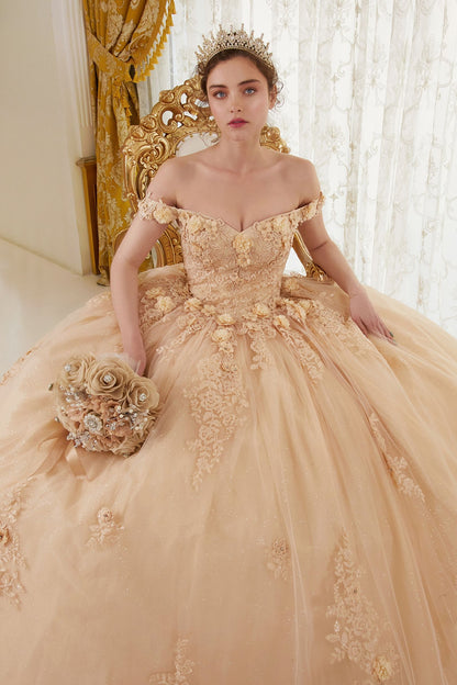 Floral Off-Shoulder Ball Gown Glitter Quinceanera Dress