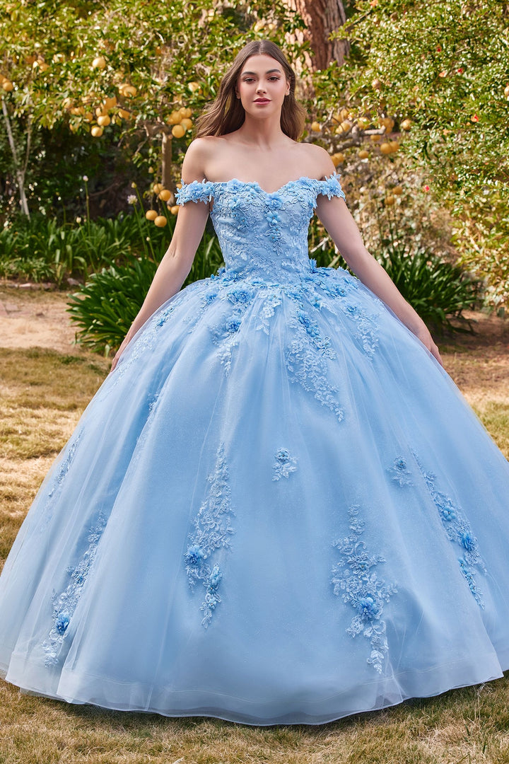 Floral Off-Shoulder Ball Gown Glitter Quinceanera Dress