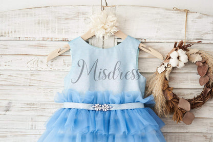 Ombre Blue Glittering Tulle Cupcake Wedding Flower Girl Dress - Flower Girl Dresses